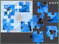 Cкриншот A Flower Puzzle Game - Free, изображение № 1606346 - RAWG