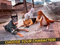 Cкриншот My Dog Game . Best Doggy Racing Game For Free Little Girls, изображение № 1762083 - RAWG