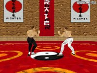 Cкриншот Karate Fighter, изображение № 343365 - RAWG