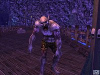 Cкриншот EverQuest: The Legacy of Ykesha, изображение № 382778 - RAWG