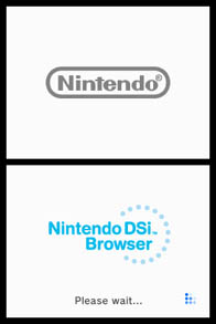 Cкриншот Nintendo DSi Browser, изображение № 247455 - RAWG