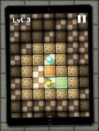 Cкриншот Sokoban: Brainly Block Puzzle, изображение № 911500 - RAWG