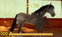 Cкриншот My Riding Stables 3D - Jumping for the Team, изображение № 243849 - RAWG