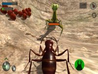 Cкриншот Ant Simulation 3D Full, изображение № 2174242 - RAWG