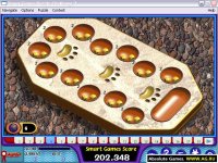 Cкриншот Smart Games Puzzle Challenge 3, изображение № 322335 - RAWG