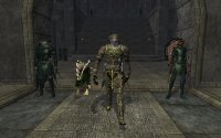 Cкриншот EverQuest II: Rise of Kunark, изображение № 338915 - RAWG