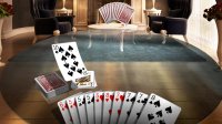 Cкриншот Gin Rummy 3D Premium, изображение № 2229473 - RAWG