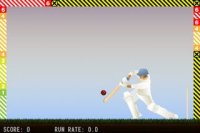 Cкриншот Little Master Cricket, изображение № 937743 - RAWG