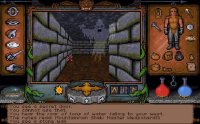 Cкриншот Ultima Underworld 1+2, изображение № 220368 - RAWG