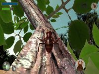 Cкриншот Ant Simulation 3D, изображение № 2174323 - RAWG