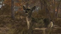 Cкриншот Pro Deer Hunting, изображение № 2280372 - RAWG