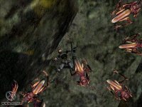 Cкриншот Aliens Versus Predator 2: Primal Hunt, изображение № 316993 - RAWG