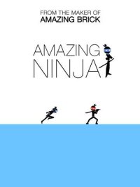 Cкриншот Amazing Ninja, изображение № 880158 - RAWG