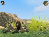 Cкриншот Wild Lion Survival Simulator, изображение № 2620207 - RAWG