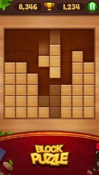 Cкриншот Block Puzzle - Wood Legend, изображение № 1419461 - RAWG