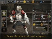 Cкриншот Knights Fight: Medieval Arena, изображение № 40500 - RAWG