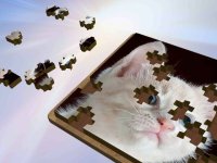 Cкриншот Super Jigsaws Kittens, изображение № 1955015 - RAWG