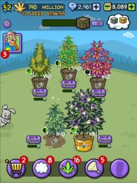 Cкриншот Bud Farm: Quest For Buds, изображение № 925180 - RAWG