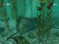 Cкриншот Дайвер. Тайны подводного мира, изображение № 482071 - RAWG