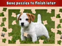 Cкриншот Jigsaw Puzzle Bug, изображение № 1943873 - RAWG