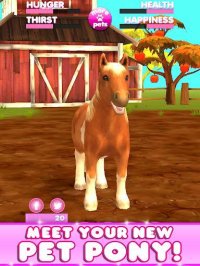 Cкриншот Virtual Pet Pony, изображение № 1561852 - RAWG