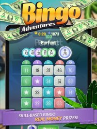 Cкриншот Bingo Adventures: Win Big Cash, изображение № 3163525 - RAWG