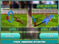 Cкриншот Dog Show Simulator 3D: Train puppies & perform amazing stunts, изображение № 917991 - RAWG