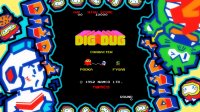 Cкриншот ARCADE GAME SERIES: DIG DUG, изображение № 42254 - RAWG