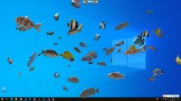 Cкриншот Fish on the desktop, изображение № 3581202 - RAWG