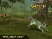 Cкриншот Life Of Wolf Simulator: Hunt Feed and Grow wolves, изображение № 1780009 - RAWG