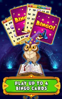 Cкриншот Wizard of Bingo, изображение № 1415809 - RAWG