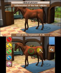 Cкриншот Horse Vet 3D, изображение № 263638 - RAWG