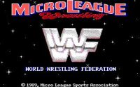 Cкриншот MicroLeague Wrestling, изображение № 756266 - RAWG