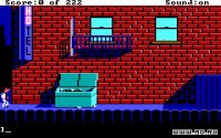 Cкриншот Leisure Suit Larry 1 - In the Land of the Lounge Lizards, изображение № 712668 - RAWG