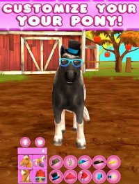 Cкриншот Virtual Pet Pony, изображение № 1561855 - RAWG