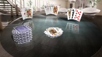 Cкриншот Crazy Eights 3D Premium, изображение № 2220495 - RAWG