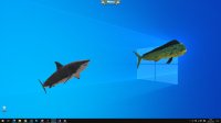 Cкриншот Fish on the desktop, изображение № 3581201 - RAWG