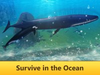 Cкриншот Ocean Whale Simulator: Animal Quest 3D, изображение № 1625940 - RAWG