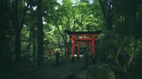 Cкриншот Explore Kyoto's Red Gates, изображение № 1920935 - RAWG