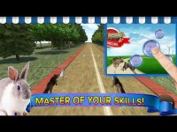 Cкриншот Subway Dog and Angry Rabbit Endless Running Race: Wacky Obstacles and Temple Surfers, изображение № 1716184 - RAWG