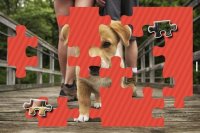Cкриншот Puppies Jigsaw Puzzles Free Pet Games for Kids, изображение № 1492928 - RAWG
