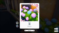 Cкриншот Shashingo: Learn Japanese with Photography, изображение № 3674777 - RAWG