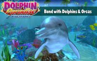 Cкриншот Dolphin Paradise, изображение № 1703737 - RAWG