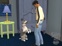 Cкриншот Sims 2: Питомцы, The, изображение № 457886 - RAWG