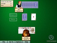 Cкриншот Hoyle Card Games 5, изображение № 343652 - RAWG