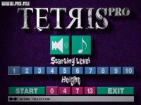 Cкриншот Tetris Pro, изображение № 344482 - RAWG