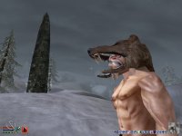 Cкриншот The Elder Scrolls 3: Bloodmoon, изображение № 361992 - RAWG