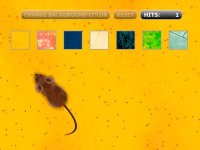Cкриншот Catch the Mouse Cat Game for iPhone, изображение № 1739491 - RAWG