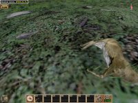 Cкриншот Cabela's Ultimate Deer Hunt, изображение № 321516 - RAWG