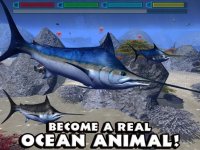 Cкриншот Ultimate Ocean Simulator, изображение № 1968106 - RAWG